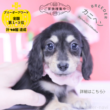 オンライン見学