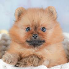 オンライン見学