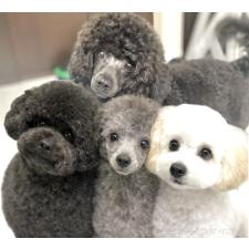 津村育世ブリーダー