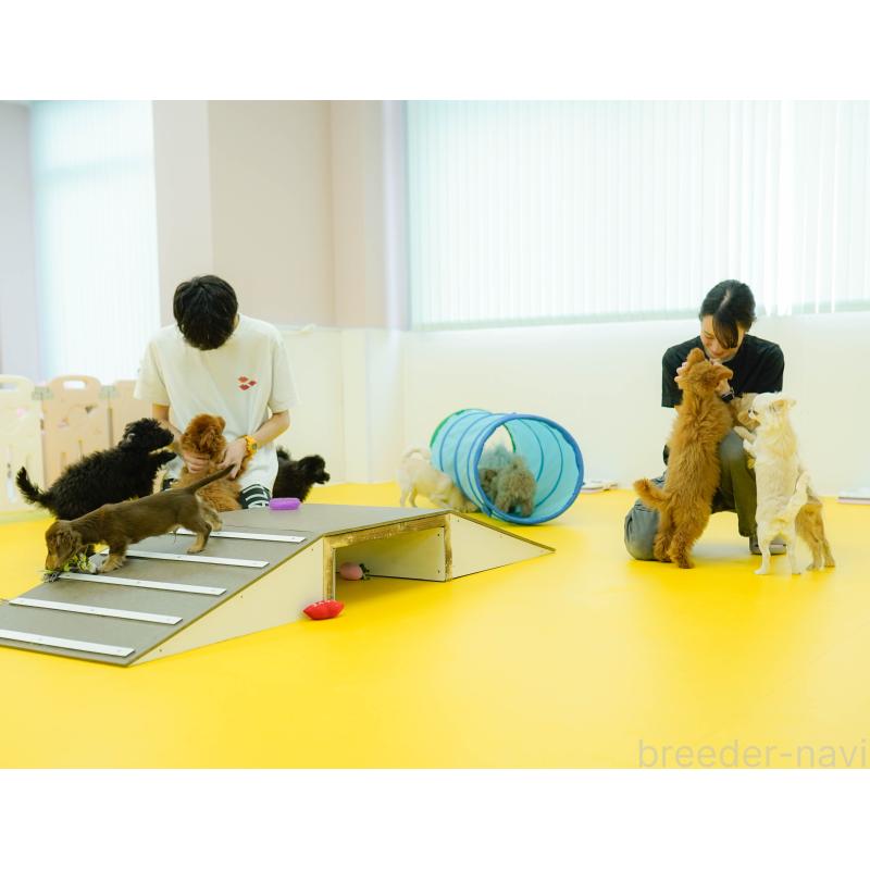 梶匡伸ブリーダーの詳細