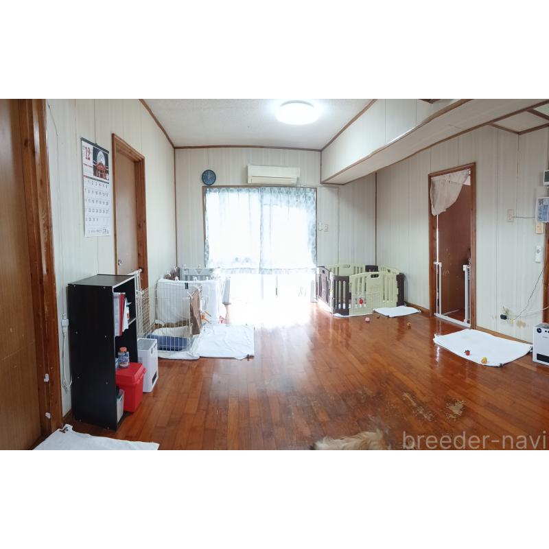 島袋学ブリーダーの詳細