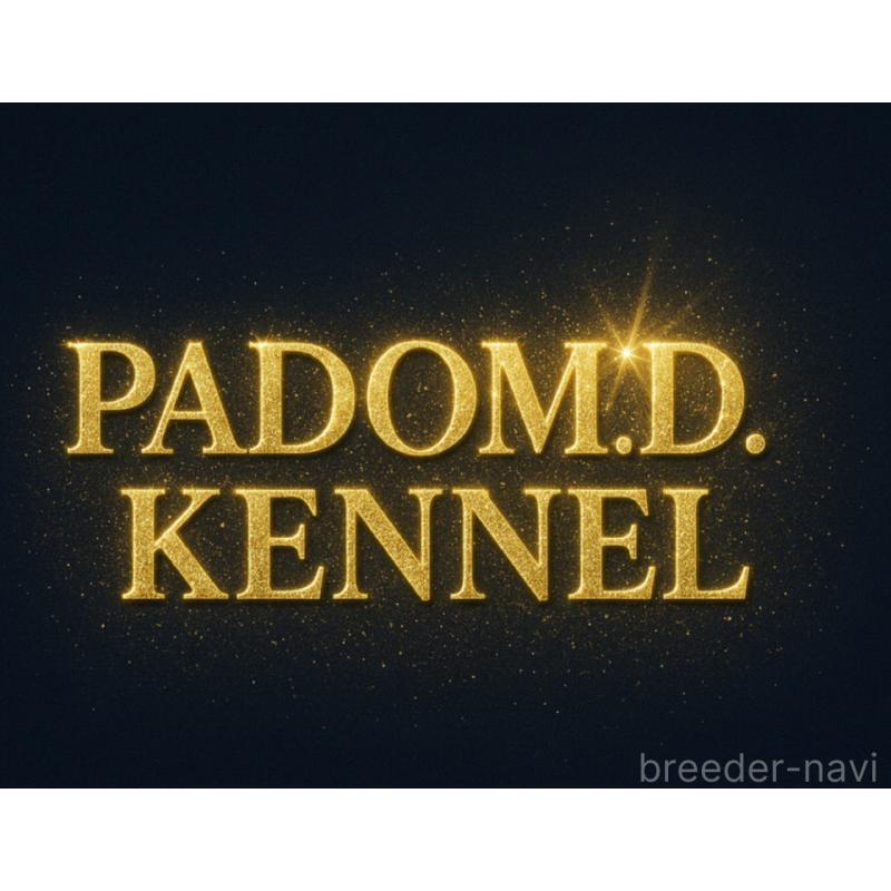 松野将悟ブリーダーの詳細の1枚目