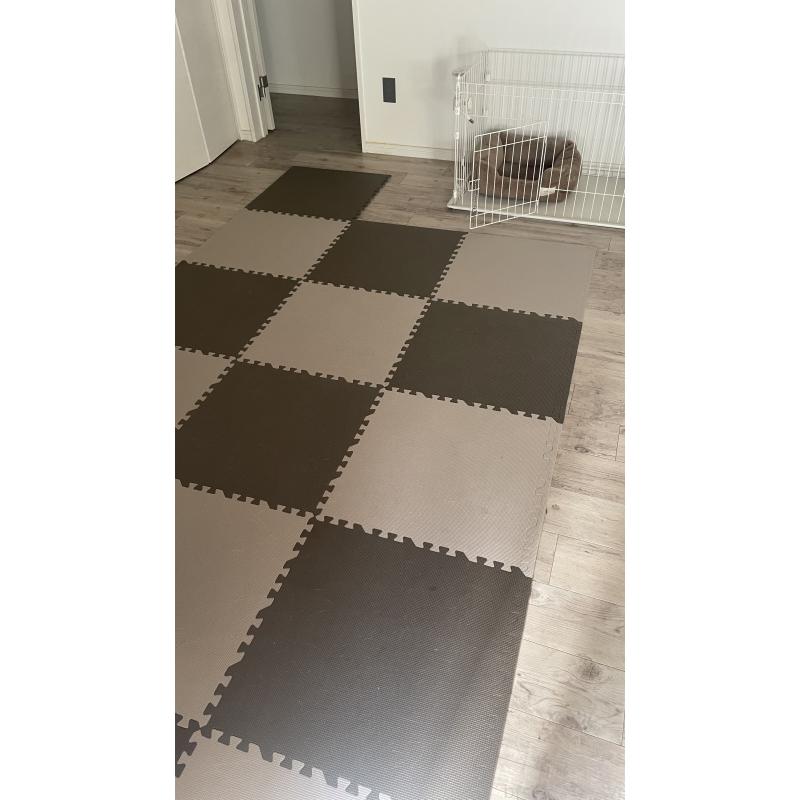 松野将悟ブリーダーの詳細