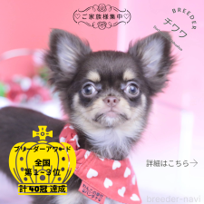 オンライン見学