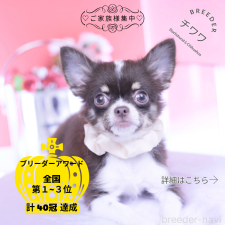 オンライン見学