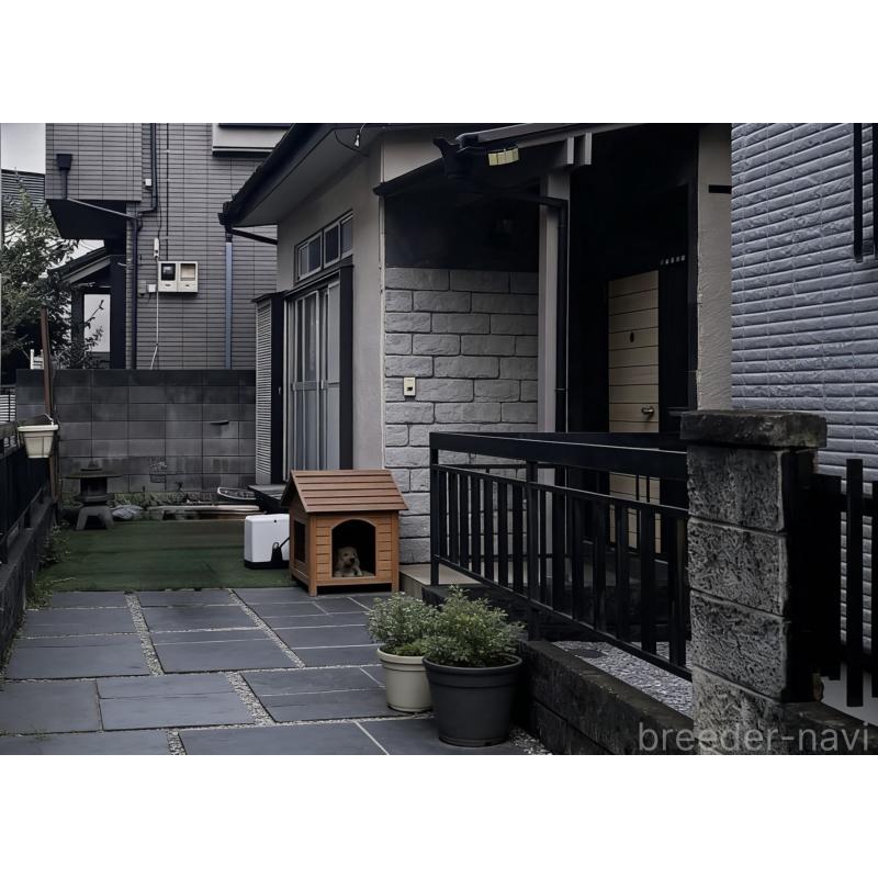 元吉株式会社ブリーダーの詳細