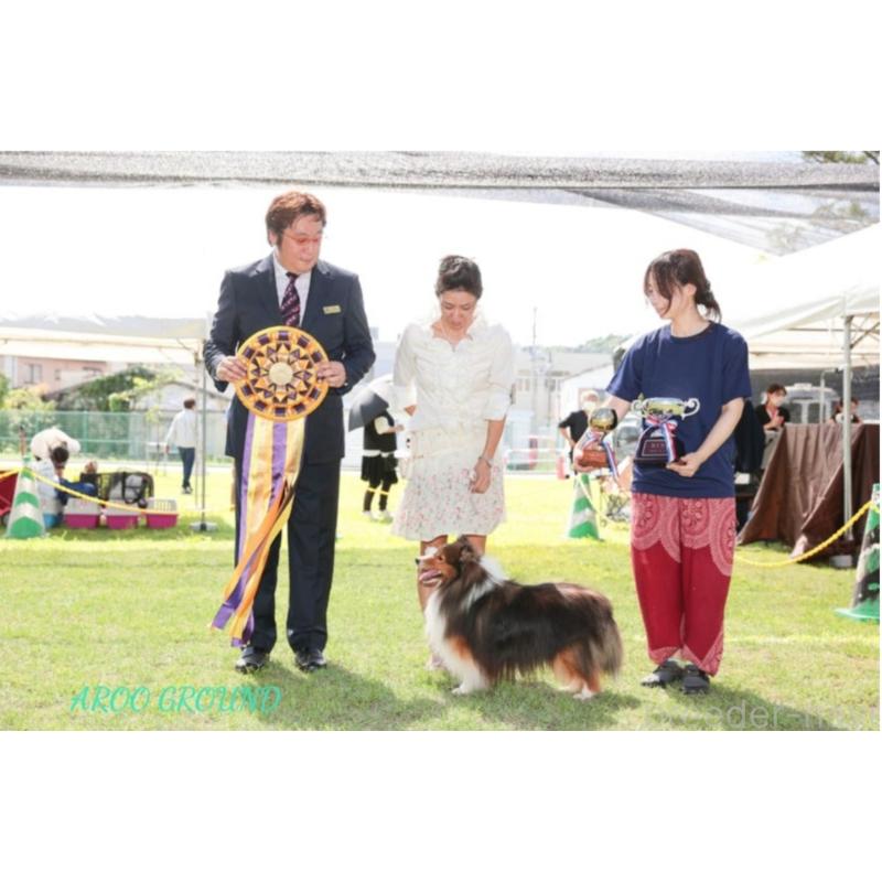 矢野文恵ブリーダーの詳細の1枚目