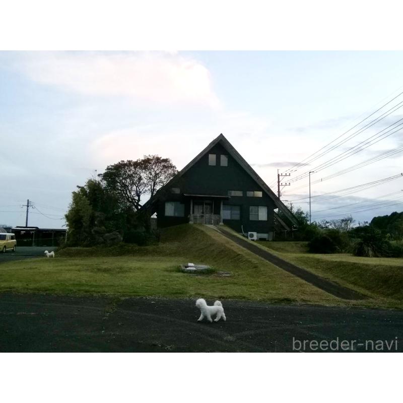 川﨑万里夢ブリーダーの詳細