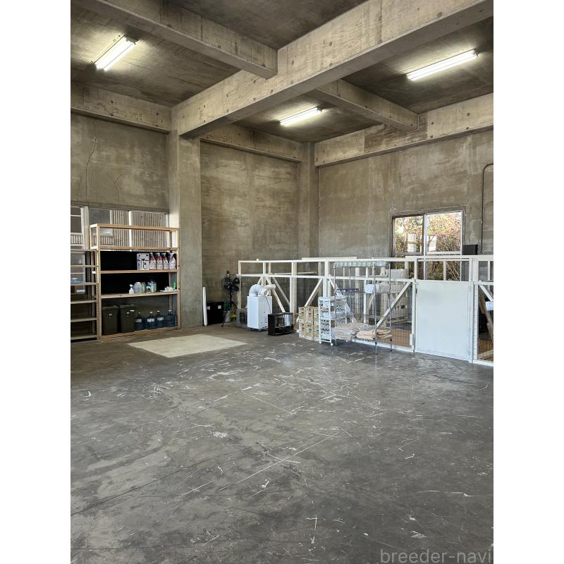 川﨑万里夢ブリーダーの詳細