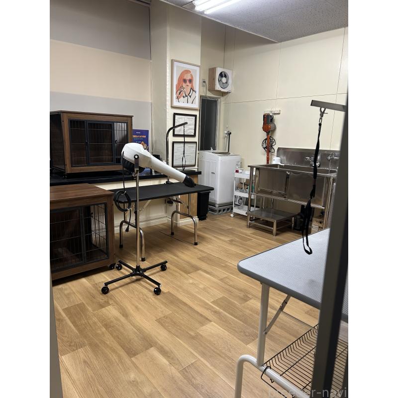 川﨑万里夢ブリーダーの詳細