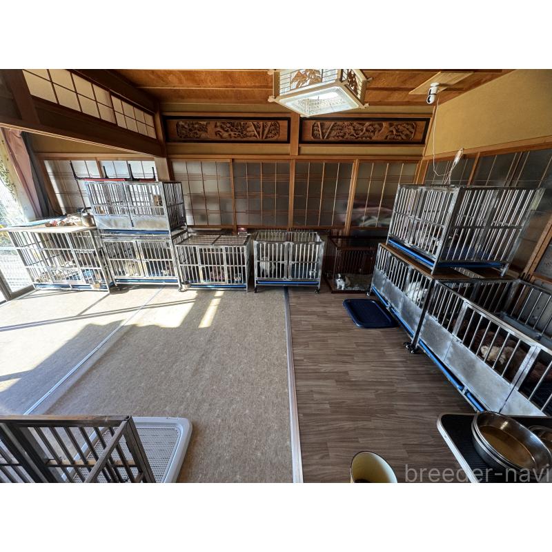 安藤豊ブリーダーの詳細