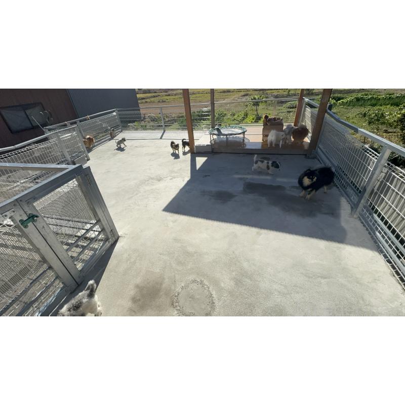 安藤豊ブリーダーの詳細