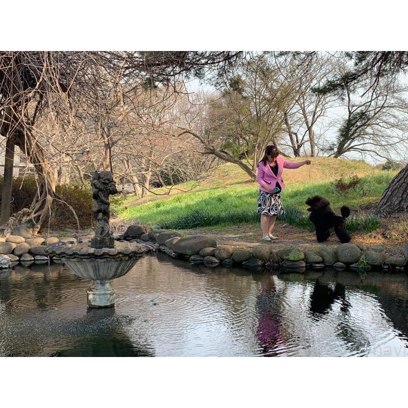 谷真琴ブリーダーの詳細の1枚目