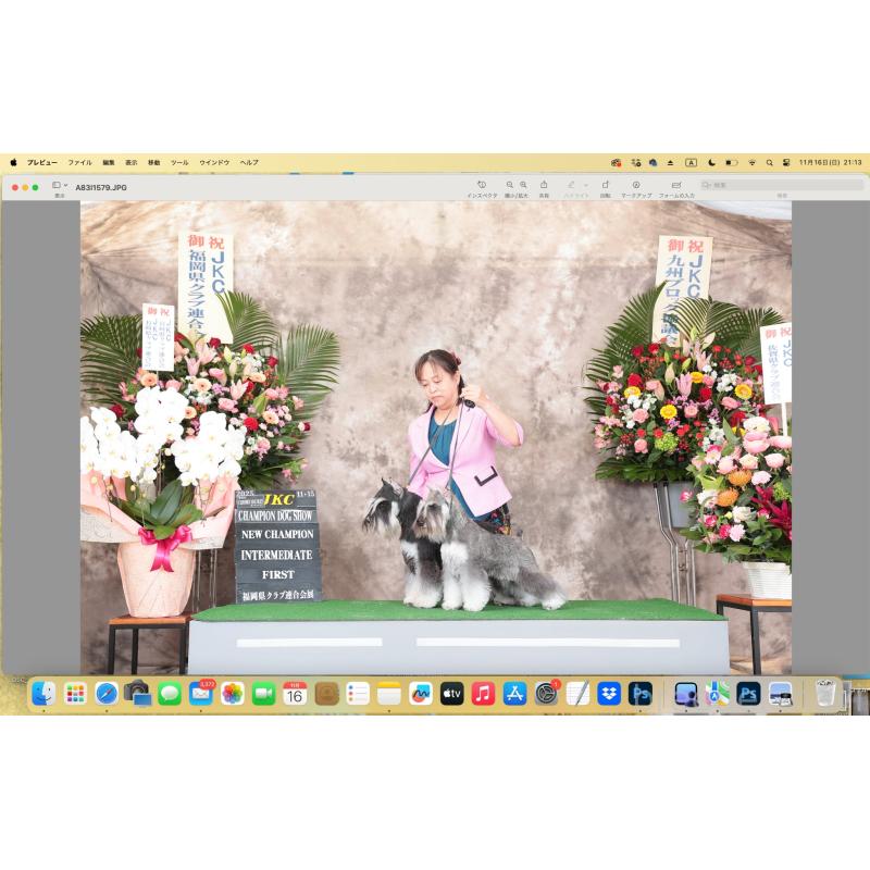 谷真琴ブリーダーの詳細