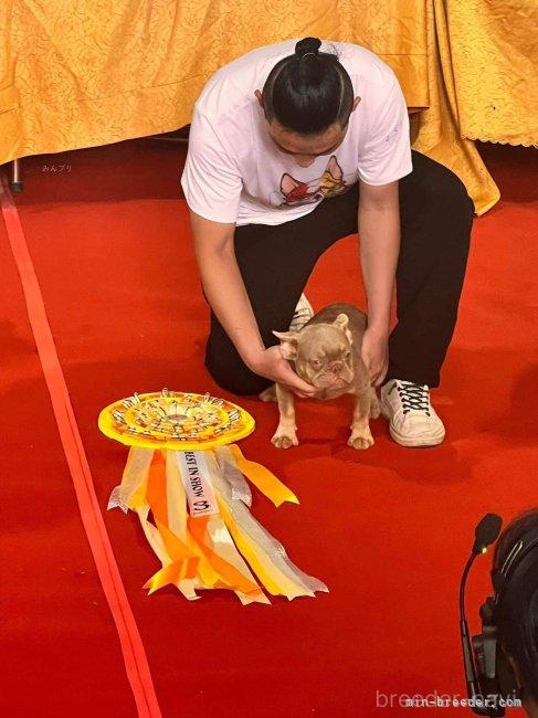 グェントゥンギア