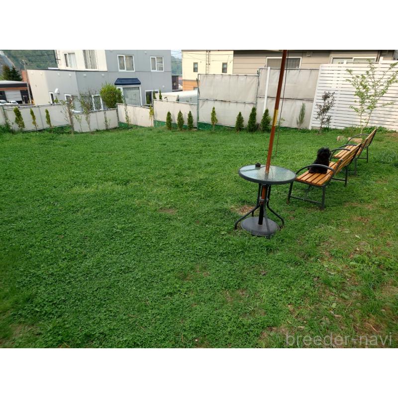 長谷川尚子ブリーダーの詳細