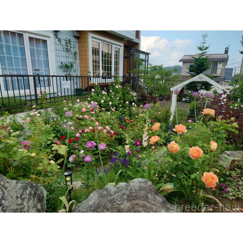 長谷川尚子ブリーダーの詳細