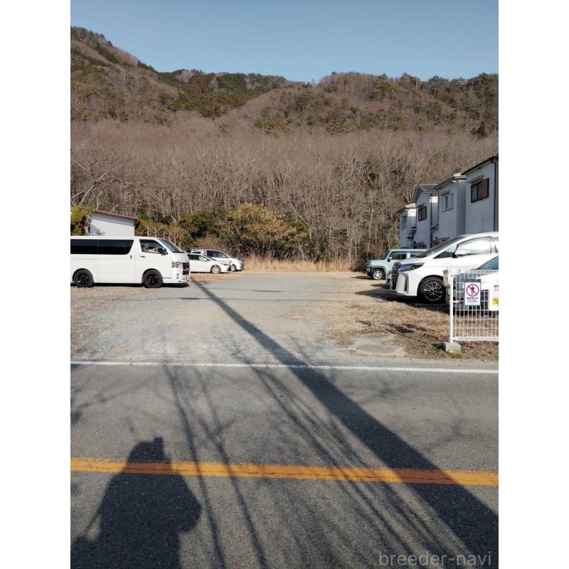 持田美奈子ブリーダーの詳細