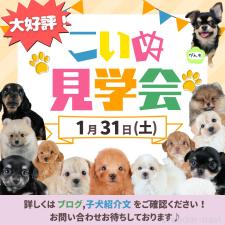 平ほの花ブリーダー