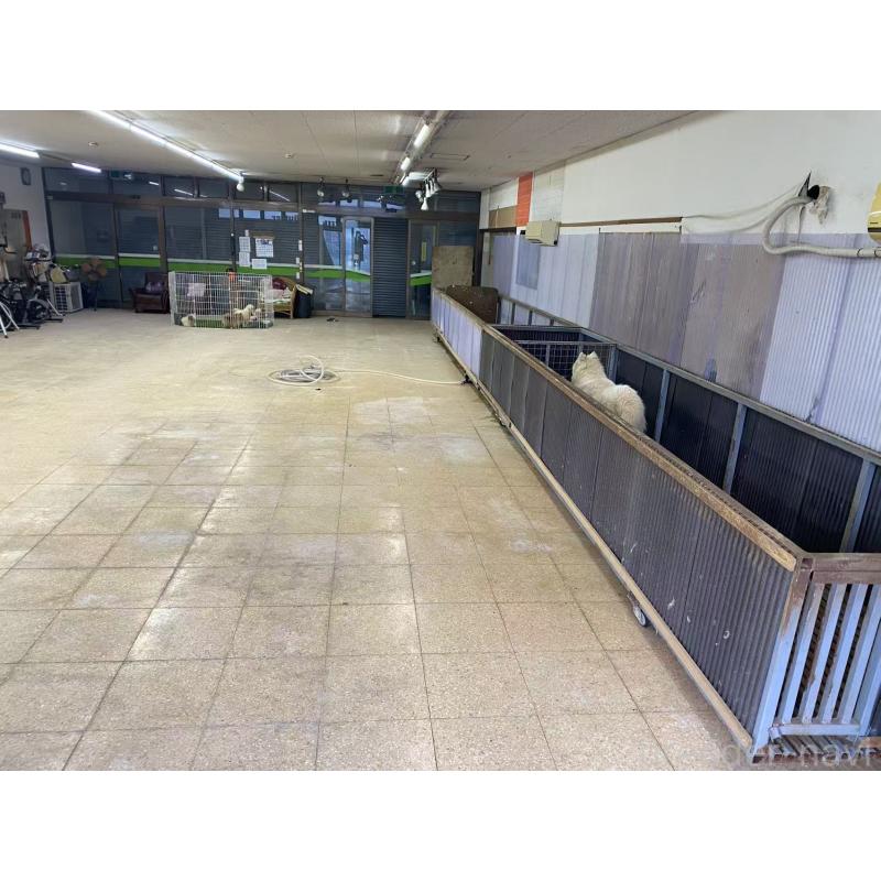 李格ブリーダーの詳細