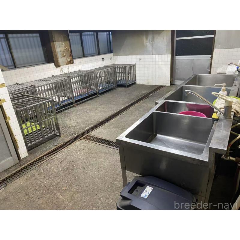 李格ブリーダーの詳細