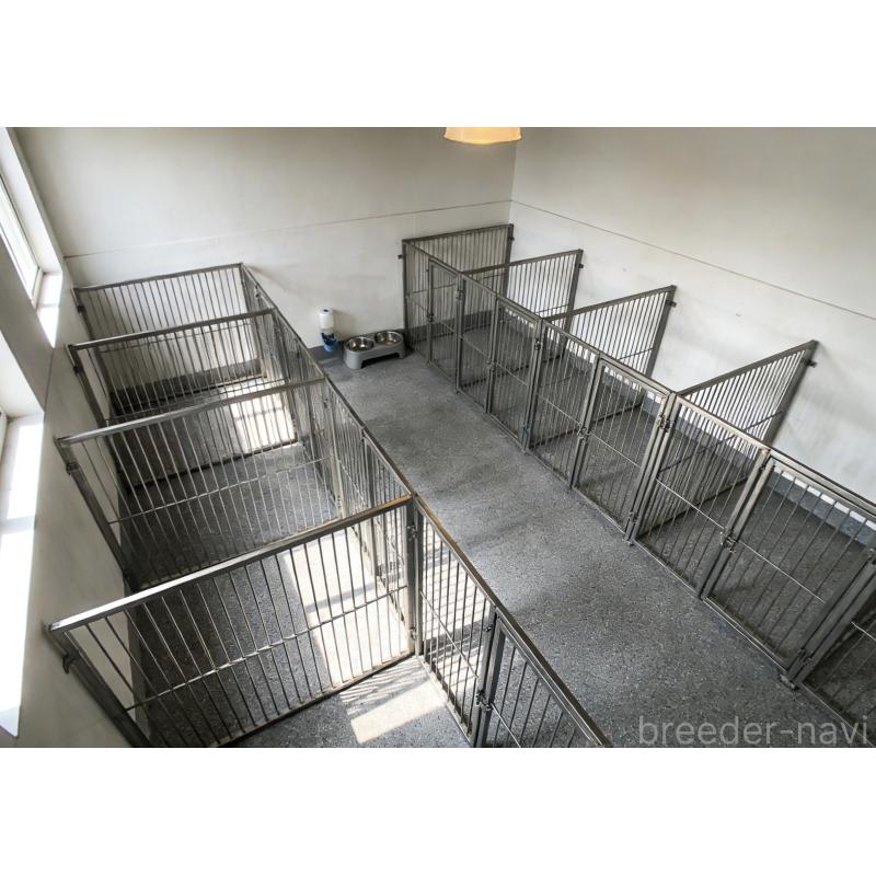 李格ブリーダーの詳細