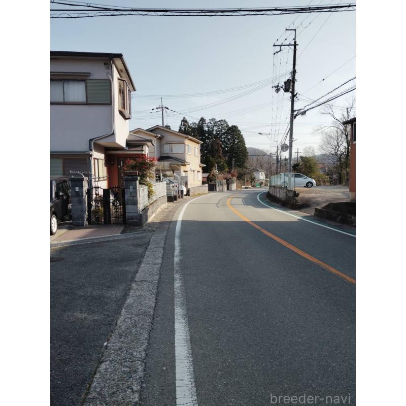 持田美奈子ブリーダーの詳細