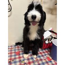 オンライン見学