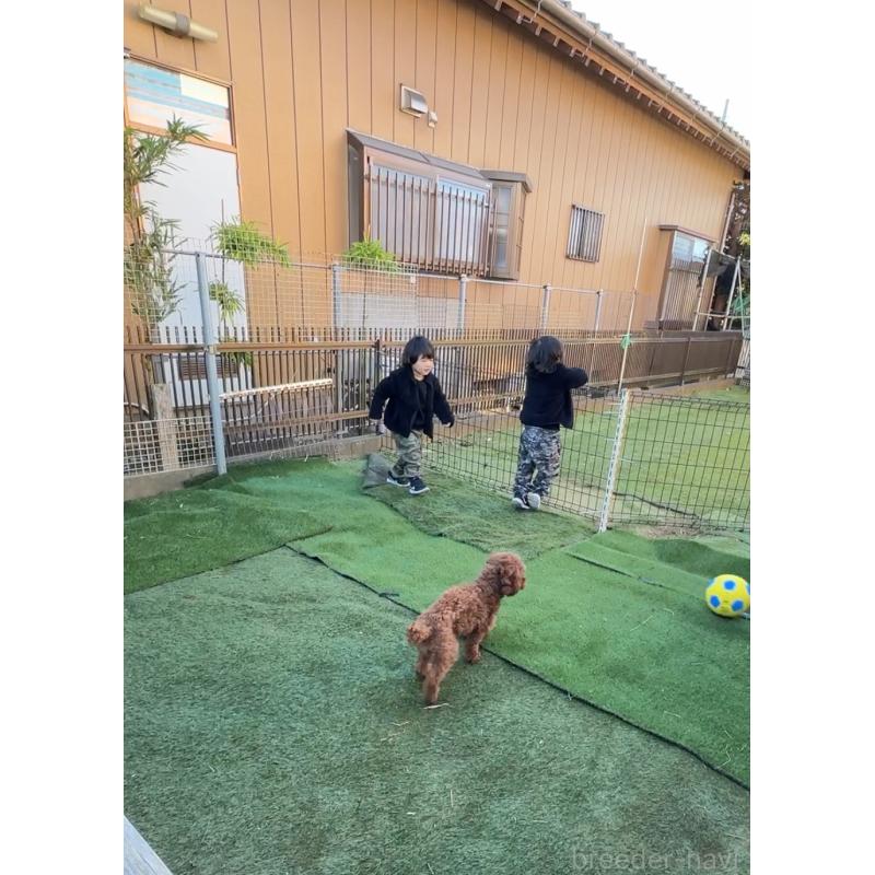 大野恵未ブリーダーの詳細