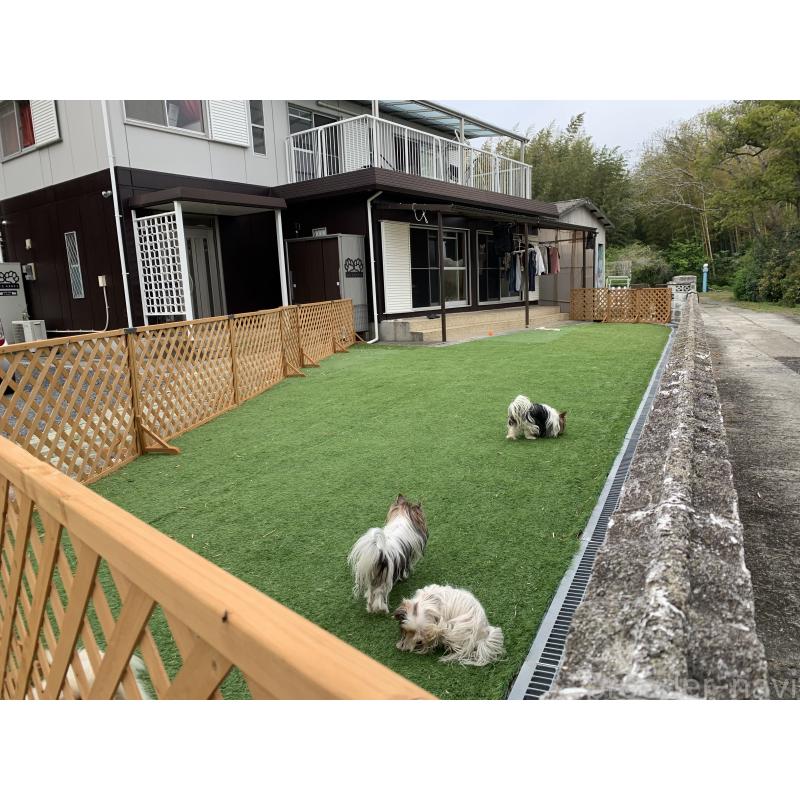 足立正美ブリーダーの詳細