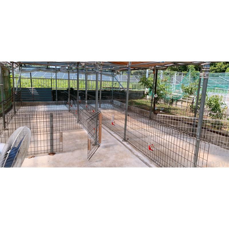 足立正美ブリーダーの詳細