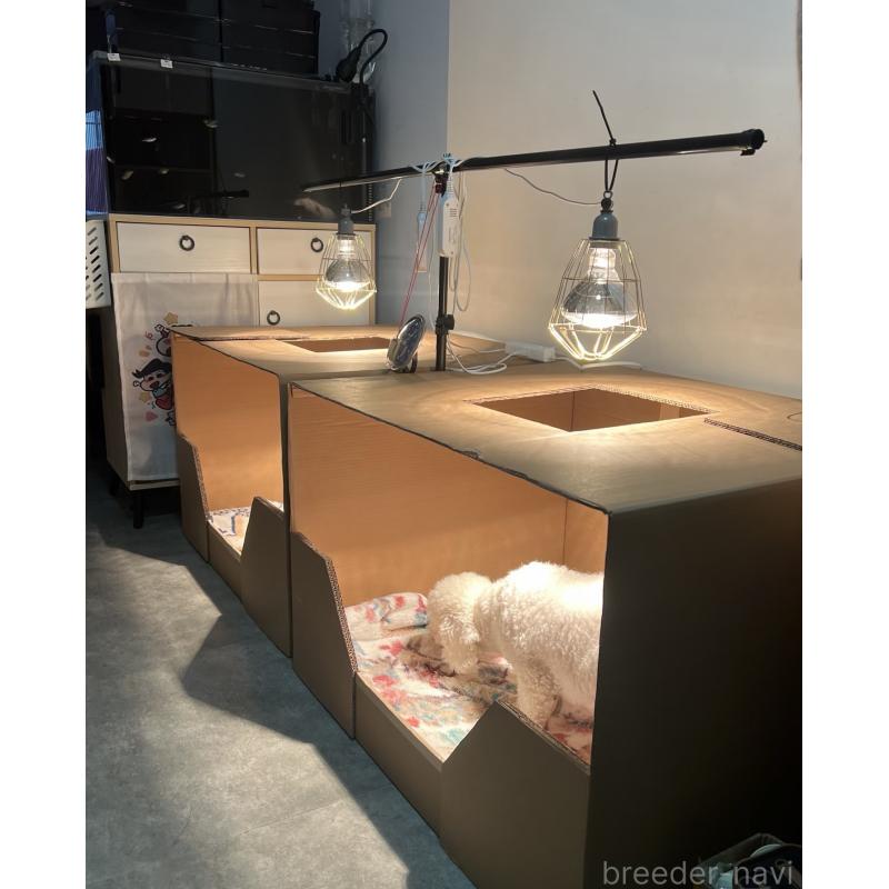 元吉株式会社ブリーダーの詳細