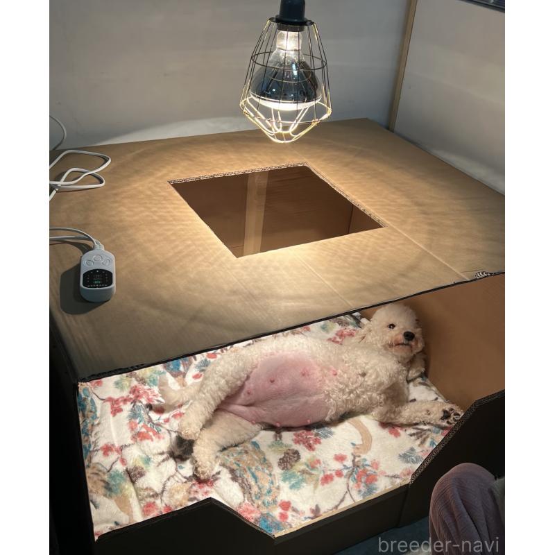 元吉株式会社ブリーダーの詳細