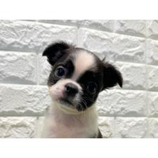 オンライン見学