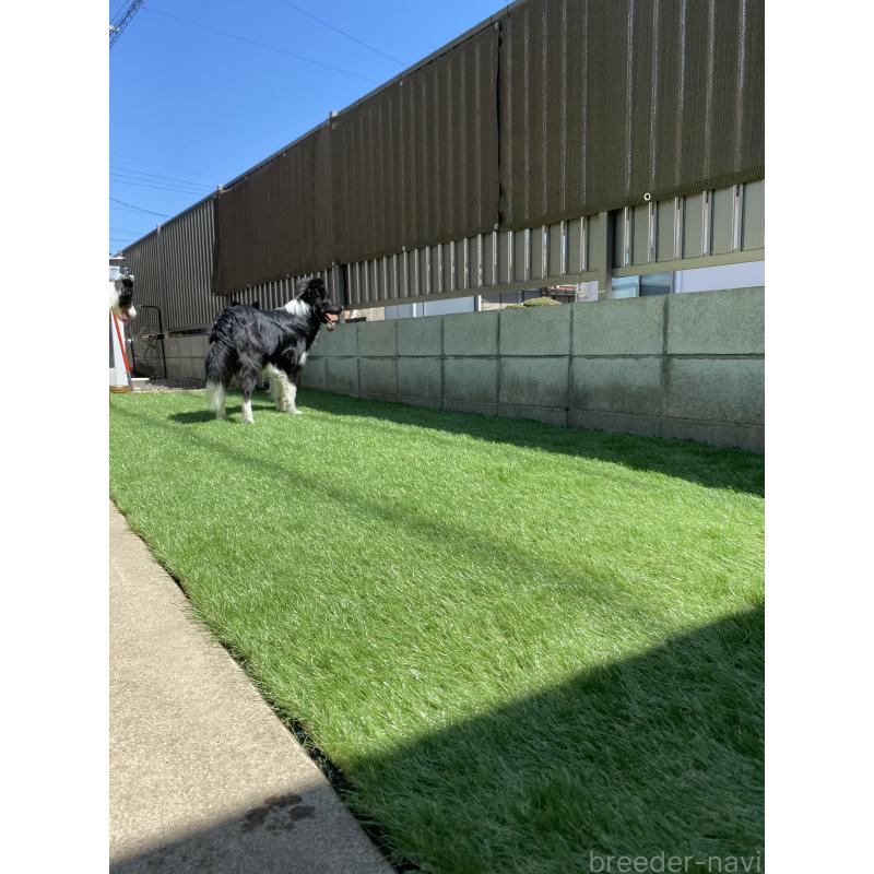 川瀬利奈ブリーダーの詳細