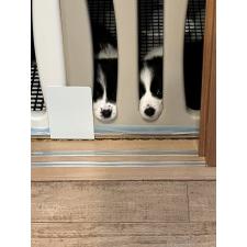 川瀬利奈ブリーダー