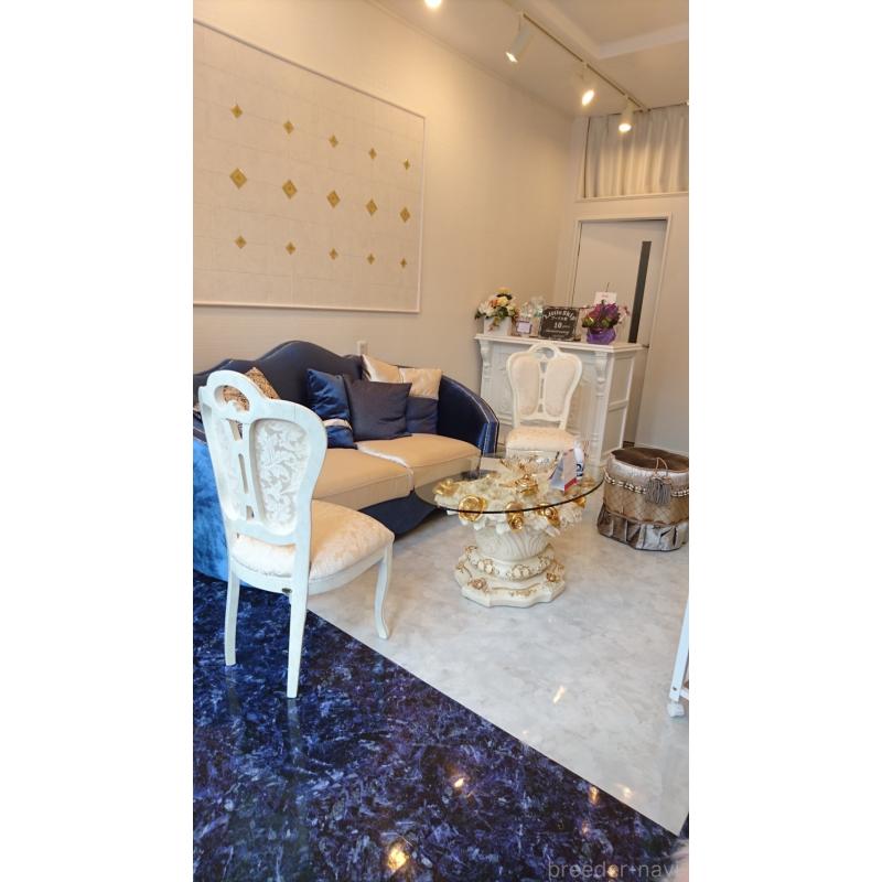 土居正夫ブリーダーの詳細