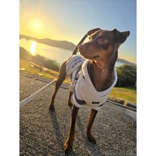 小林もとみブリーダー