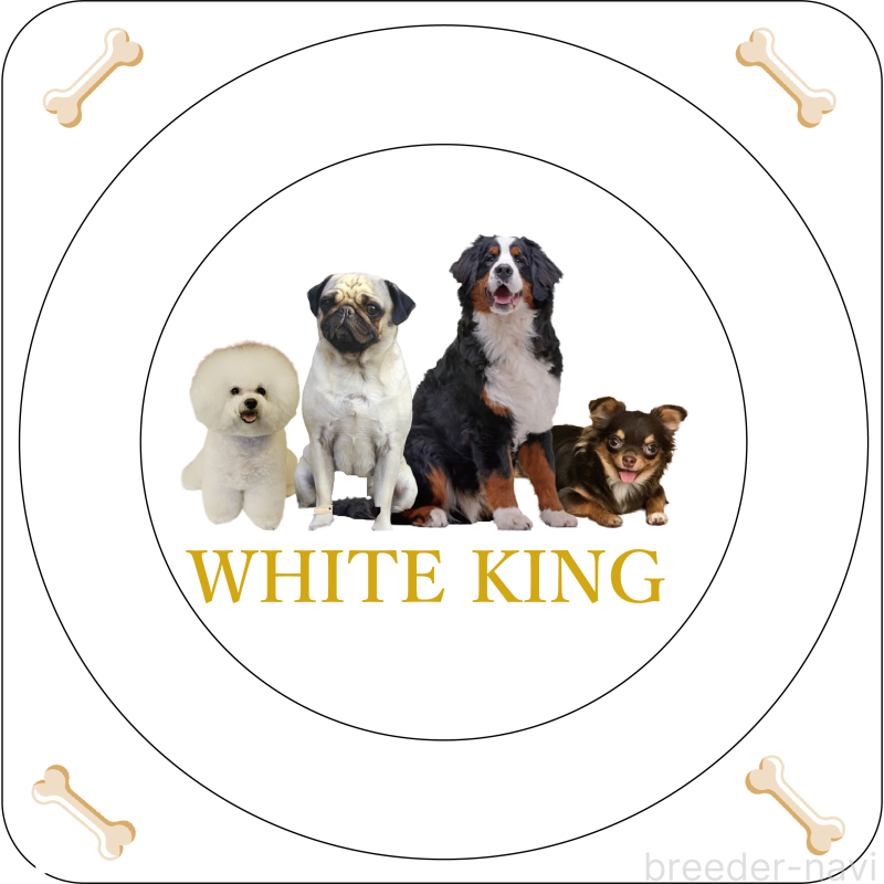 久保田美由紀ブリーダーの詳細の1枚目