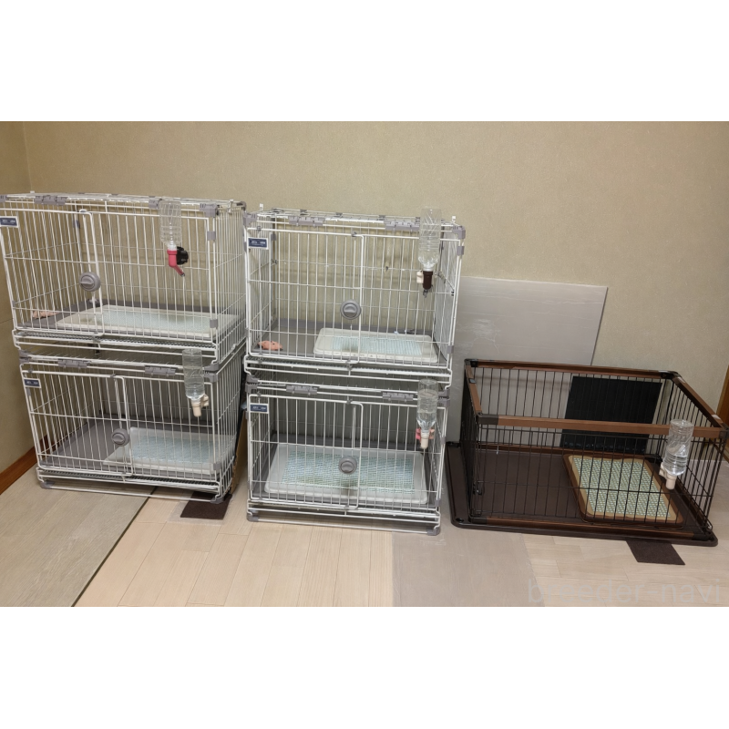 久保田美由紀ブリーダーの詳細