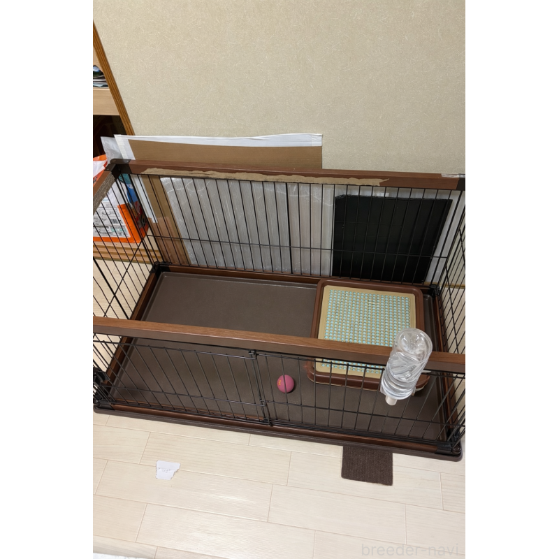 久保田美由紀ブリーダーの詳細