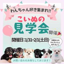 梶匡伸ブリーダー