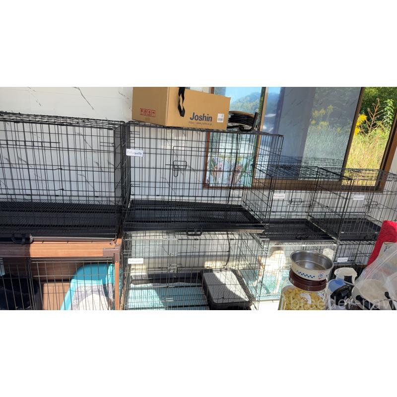 江畑亮ブリーダーの詳細