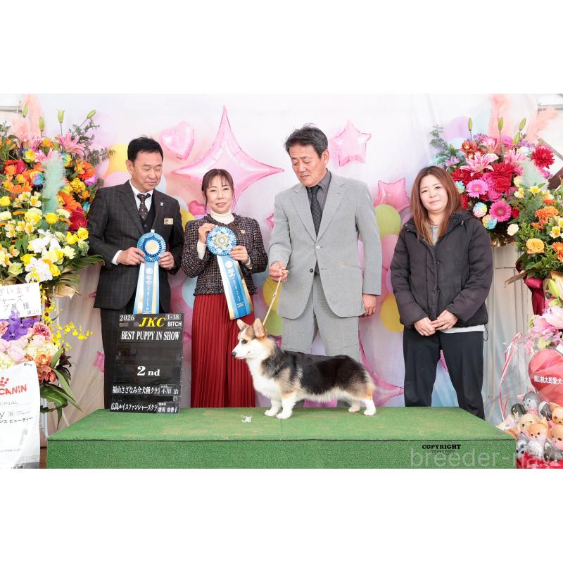塚崎睦予ブリーダーの詳細の1枚目