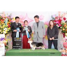 塚崎睦予ブリーダー