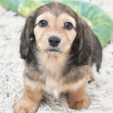 オンライン見学