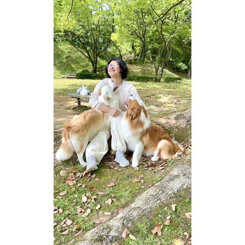 尚洪嬌ブリーダーの詳細の1枚目