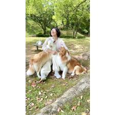 尚洪嬌ブリーダー