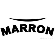 森川 領太ブリーダー