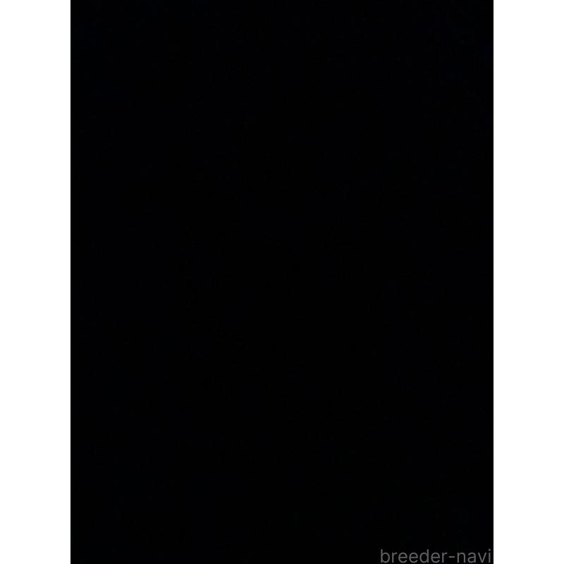 鏡味理恵ブリーダーの詳細